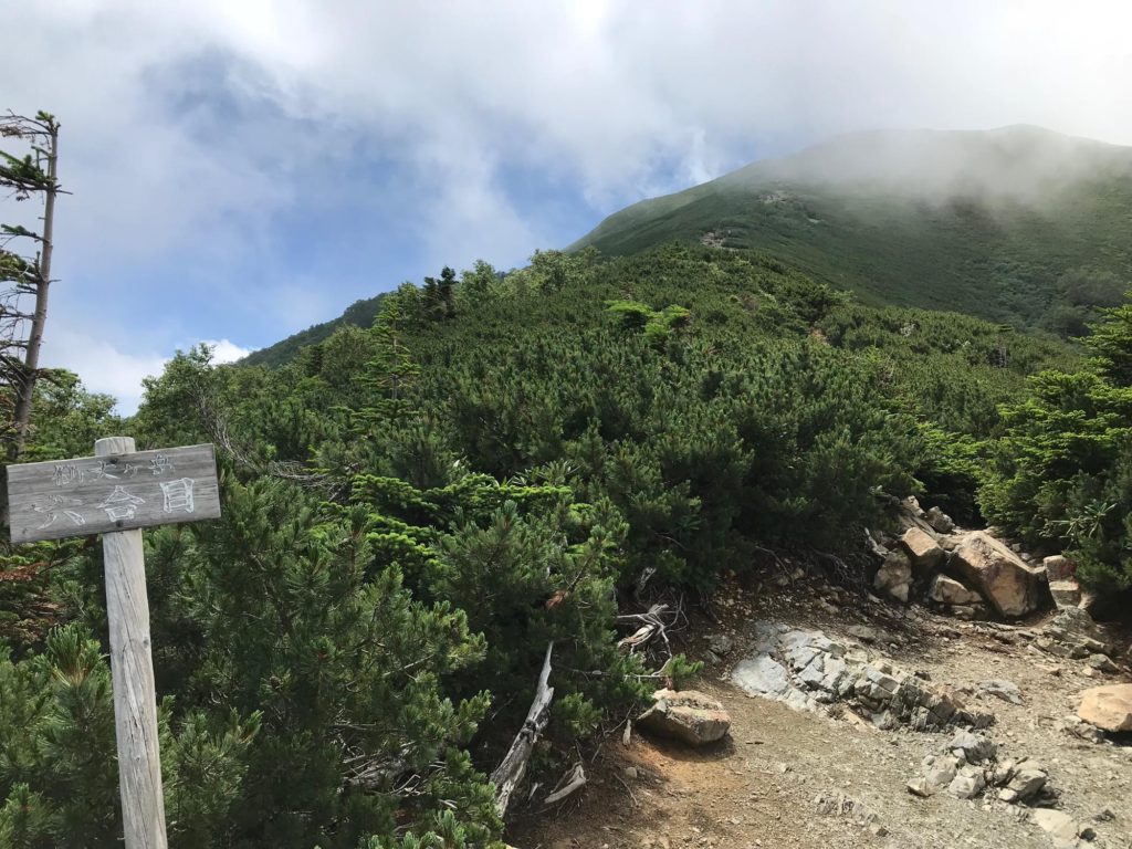 仙丈ヶ岳　登山道