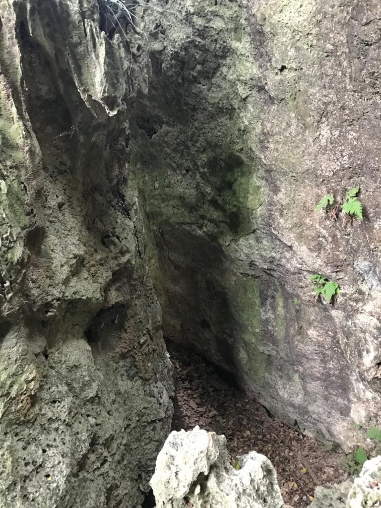 狭い岩の間