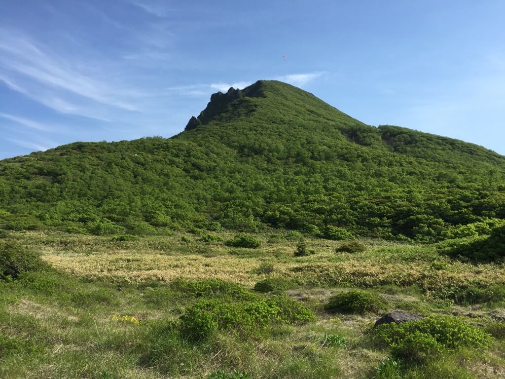 緑に覆われた磐梯山