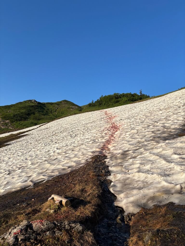 吹上〜五輪の森