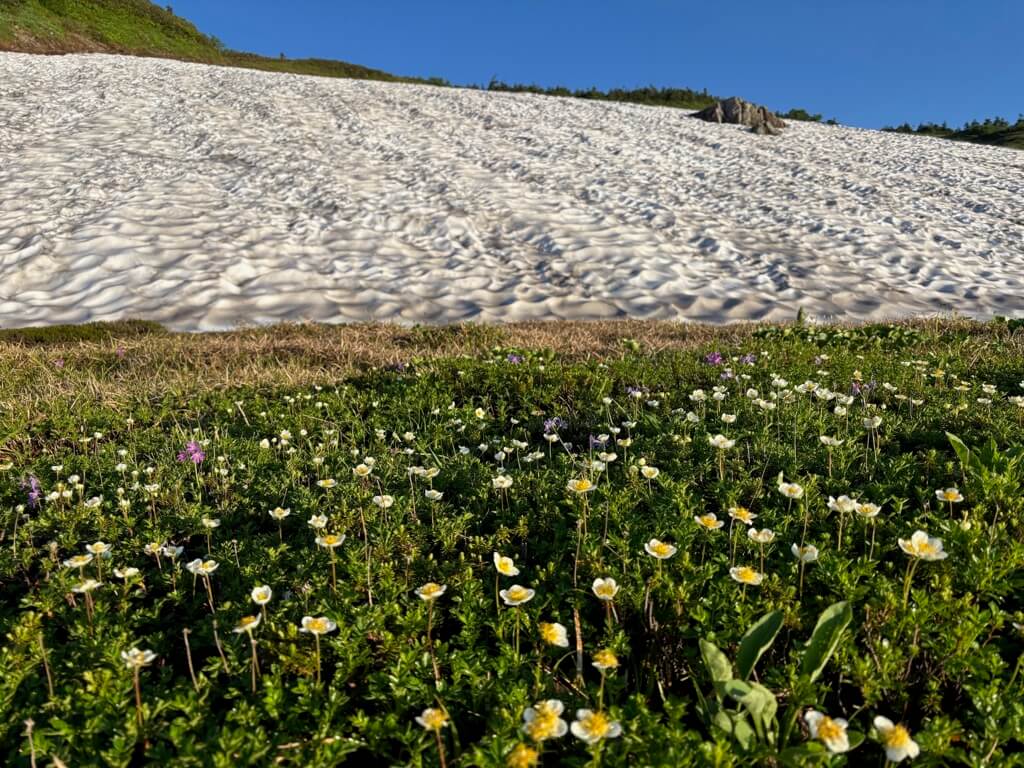 吹上〜五輪の森
