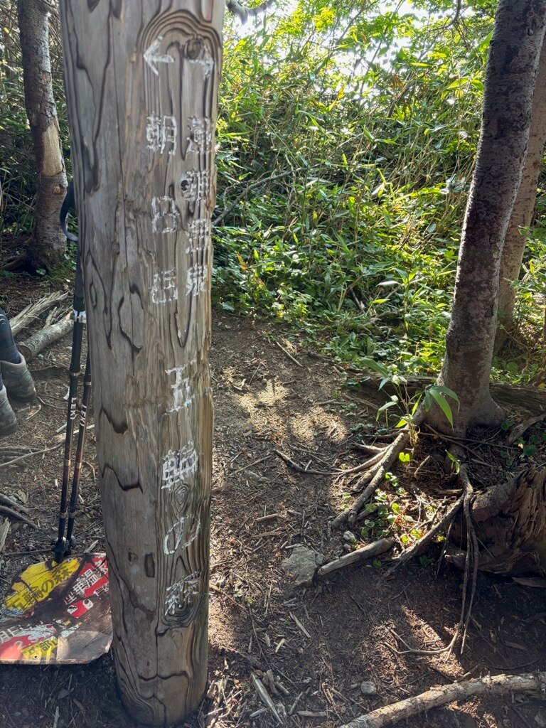 吹上〜五輪の森