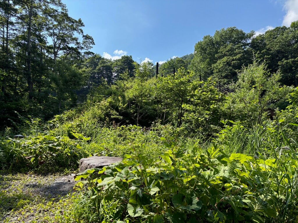 花園三角点〜蓮華温泉