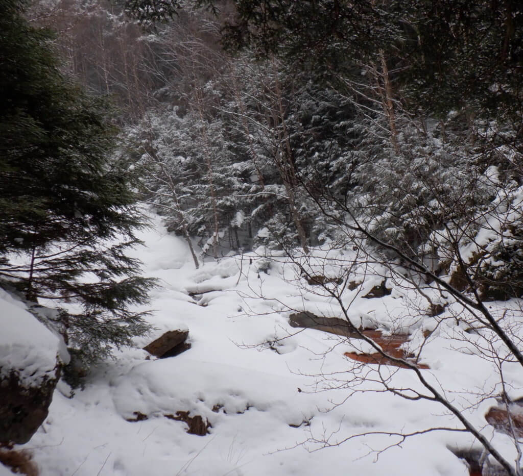 雪の下を川が流れている。きれいな雪景色です。