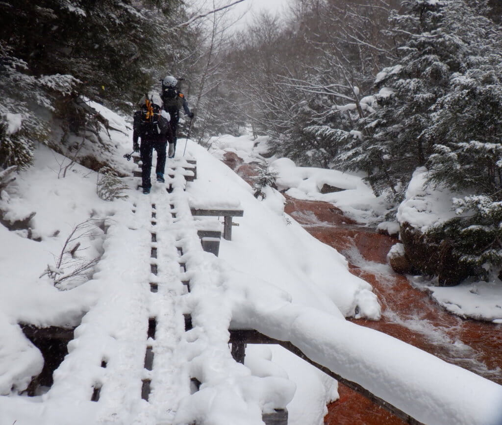 小雪がちらつく中、沢沿いの木道を歩きます。