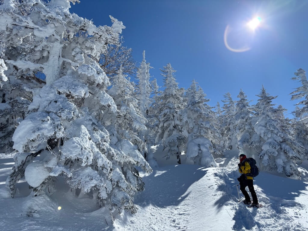 樹林帯を登っていきます