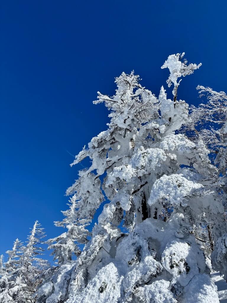 紺碧の空!快晴です!