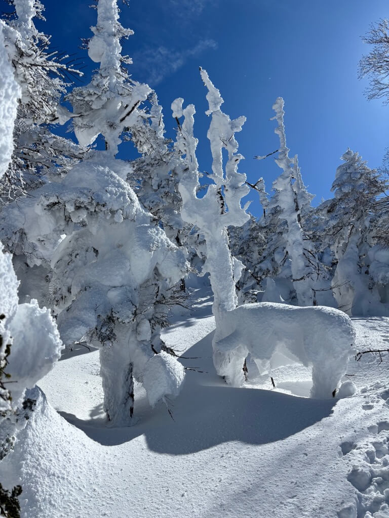 立派な角を生やした鹿に見える!