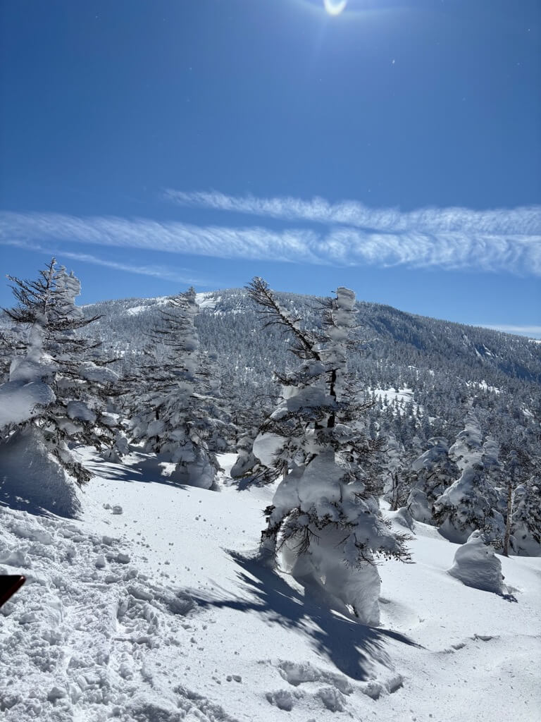 木々の向こうに山が見えます。あの山を越えていきます