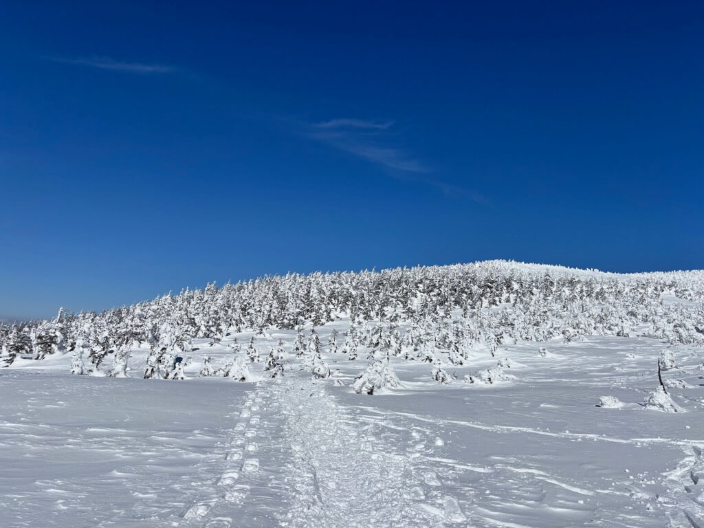 ここから再び登りです