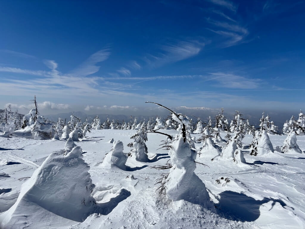 遠くに白い雪をかぶった山も見えます。