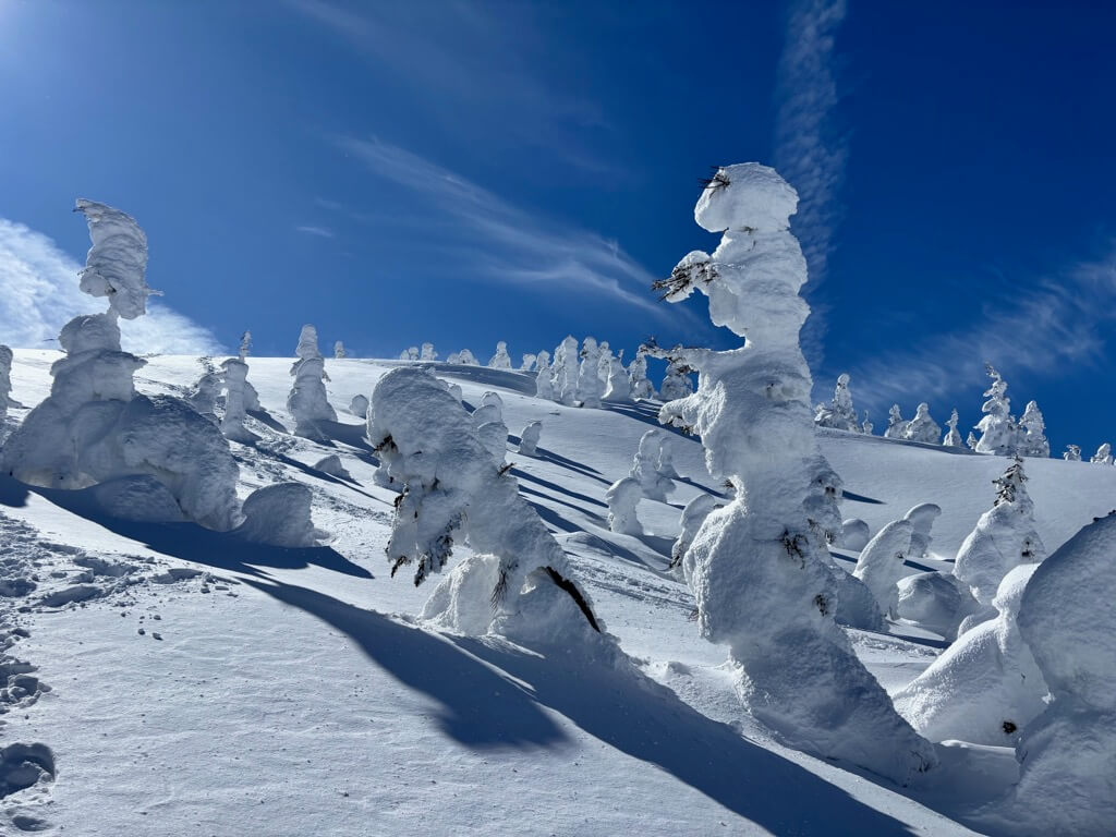 木一つ一つが個性のある形になっていて、まるでデズニー映画に出てくるモンスターみたいにユーモラス