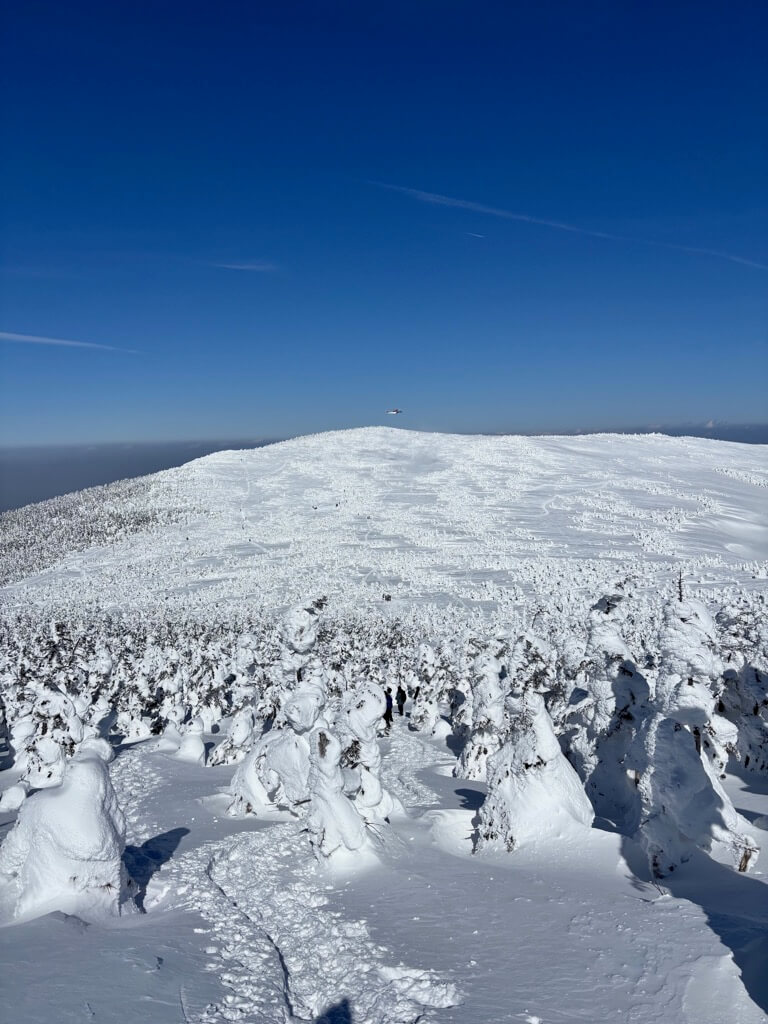 振り返ると、モンスターの木々が無数に見える