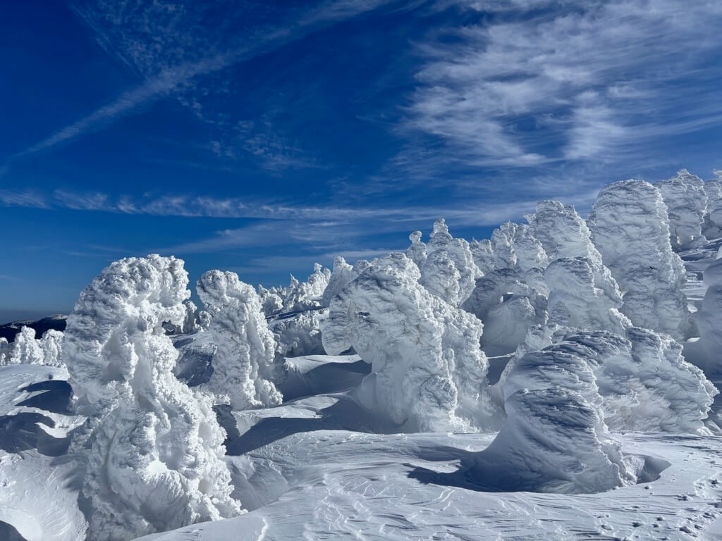 たくさん雪がついてまるまると太ったモンスター