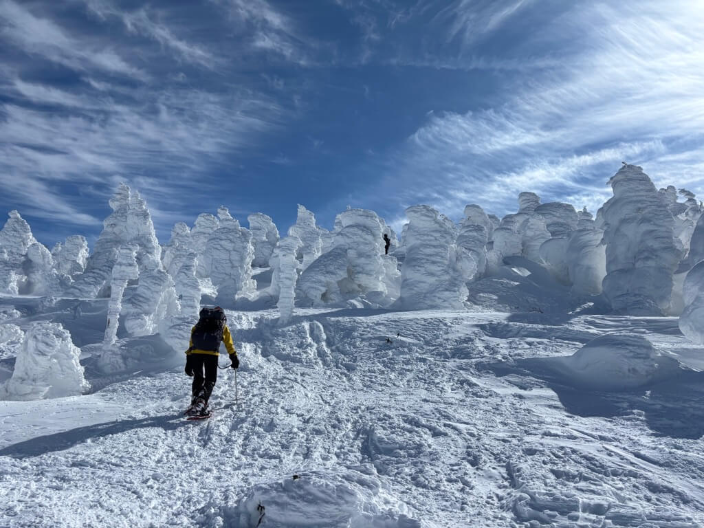 モンスターの森を登りきったら山頂です