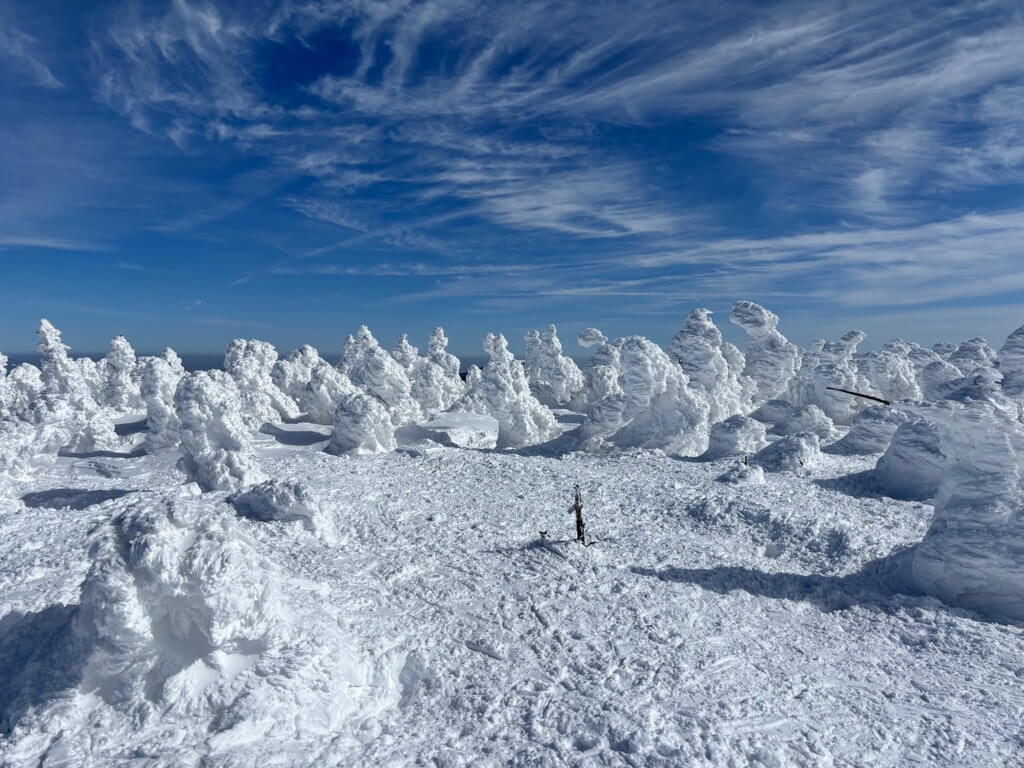 西吾妻山山頂。小さな棒が立っているだけ