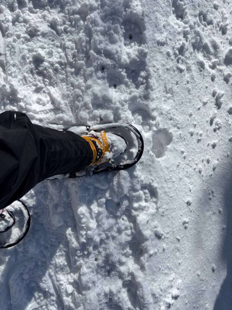 西吾妻山ワカンで歩きました