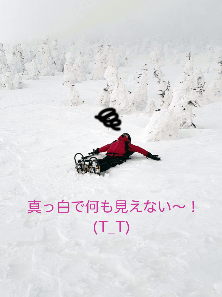 真っ白で何も見えない